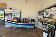 img_934717797883840.jpg