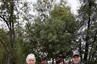 img_329817924829310.jpg