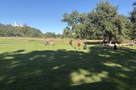 img_005117908553140.jpg