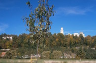 pa140006.jpg